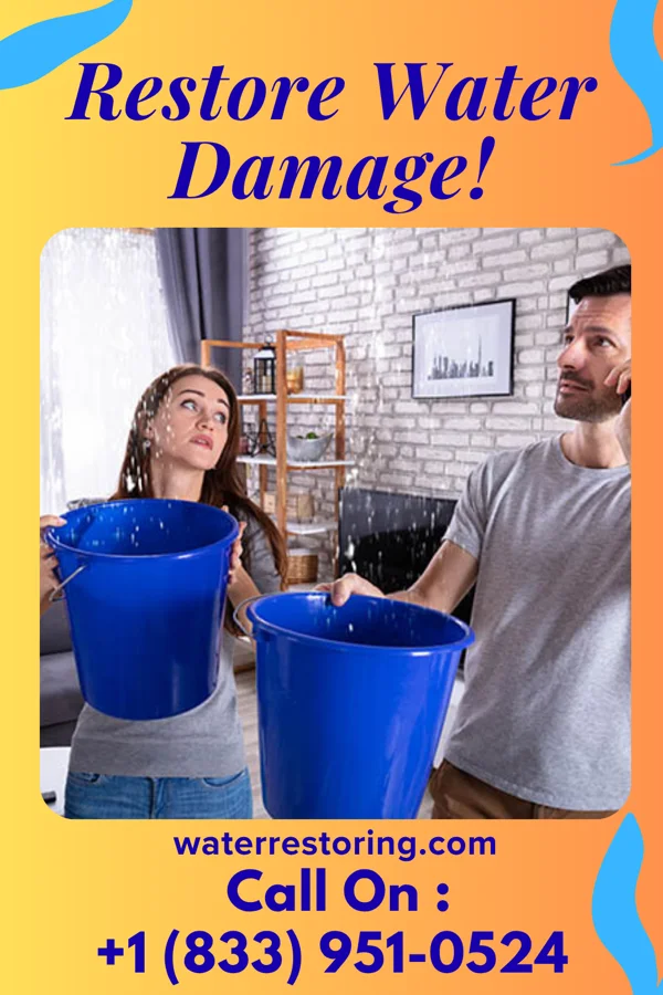 water restoration Coastal Disaster Cleanup Professionals Leonard