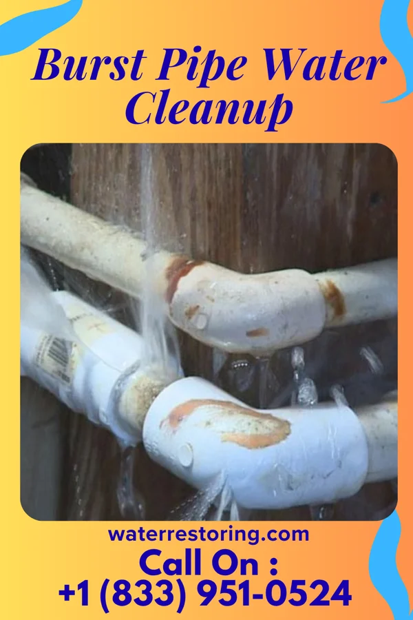Burst Pipe Water Cleanup in Leonard, MO