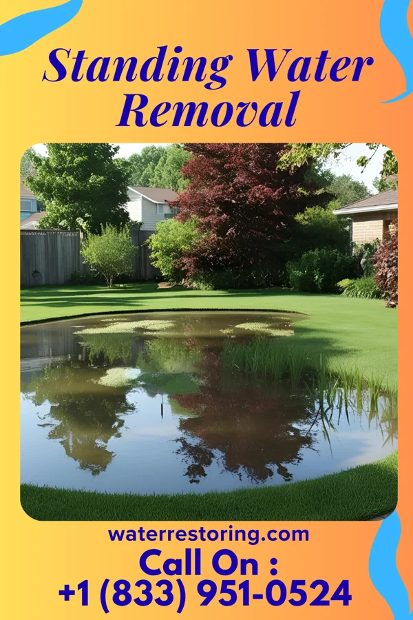 Standing Water Removal in Leonard, MO
